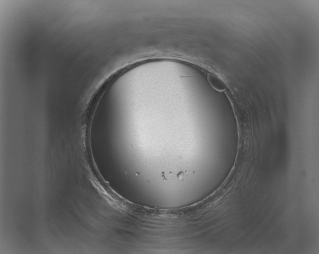 X0000069811503200606021451