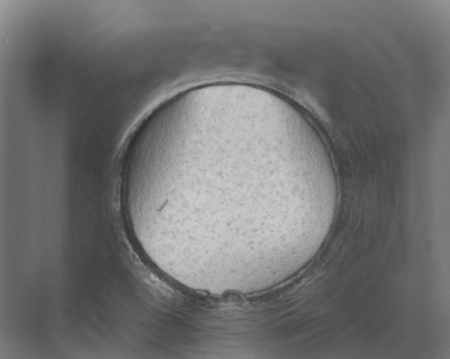 X0000069811504200606021451