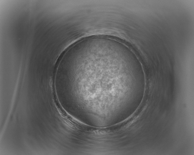 X0000069811505200606021451