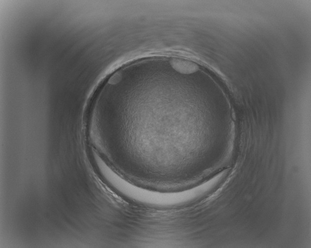 X0000069811506200606021452