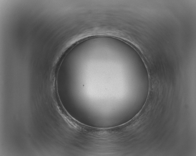 X0000069811507200606021452