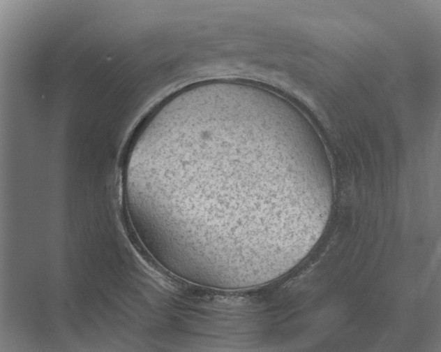 X0000069811509200606021452