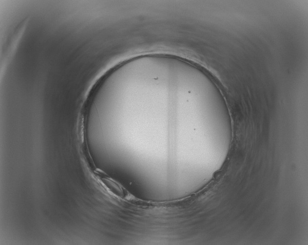 X0000069811510200606021452