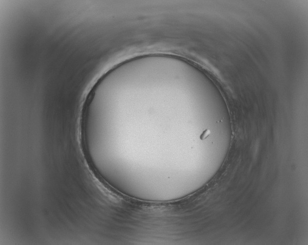 X0000069811512200606021452