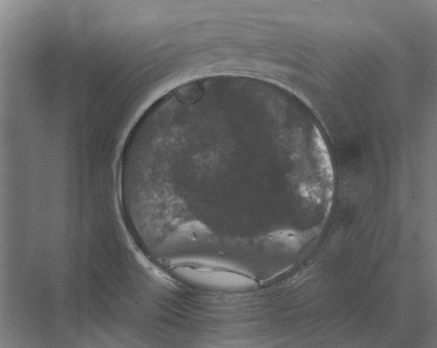 X0000069811515200606021452