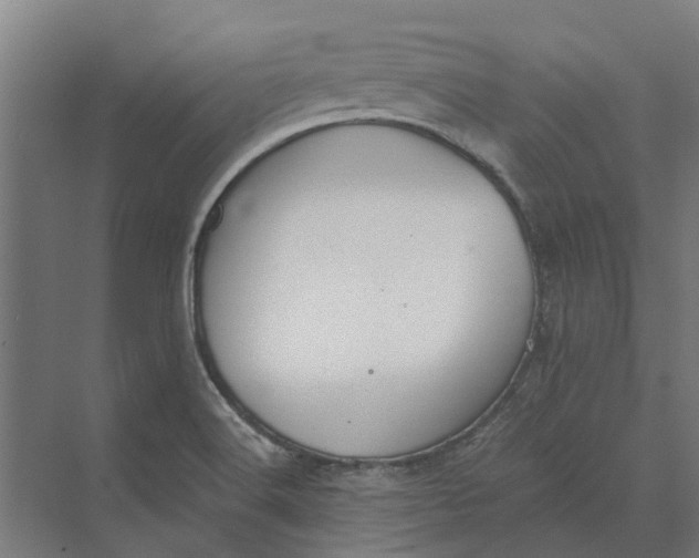 X0000069811516200606021452