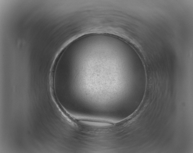 X0000069811517200606021452