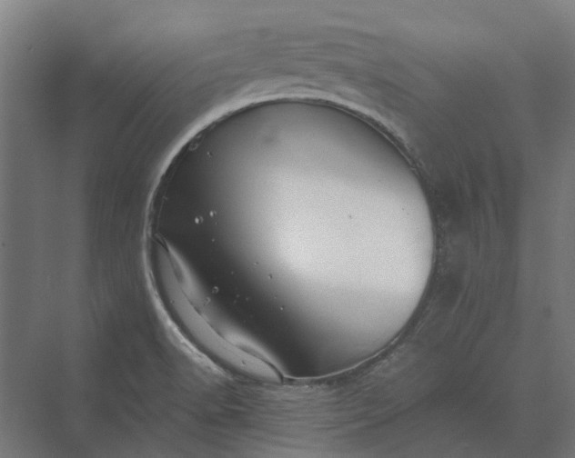 X0000069811518200606021452