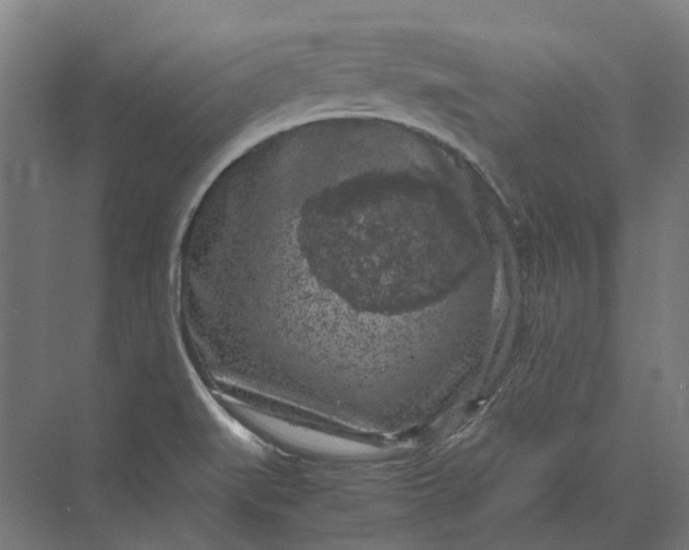 X0000069811519200606021452