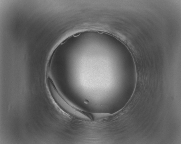 X0000069811520200606021452