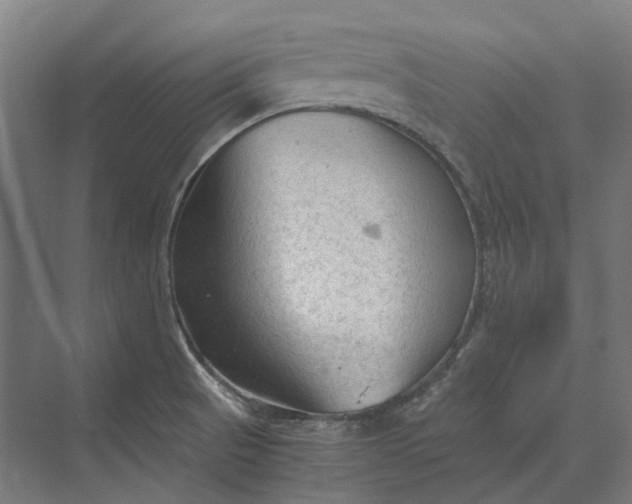 X0000069811521200606021452