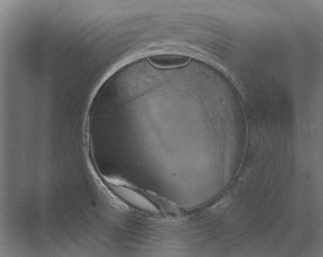 X0000069811522200606021452