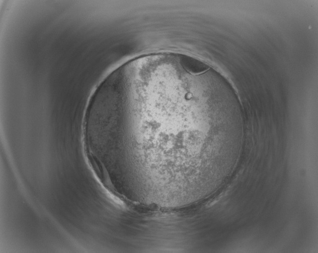 X0000069811525200606021452