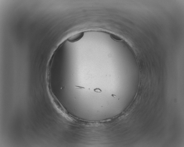 X0000069811526200606021452