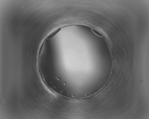 X0000069811528200606021452