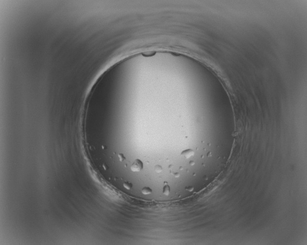 X0000069811530200606021452