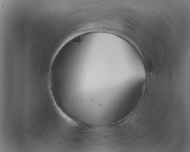 X0000069811531200606021452