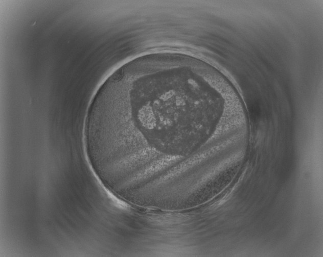 X0000069811533200606021452