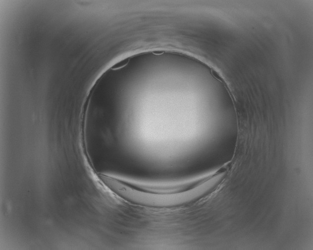 X0000069811534200606021452