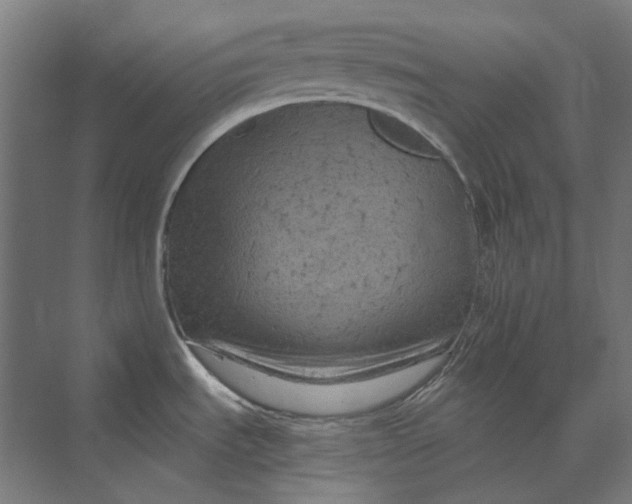 X0000069811535200606021452