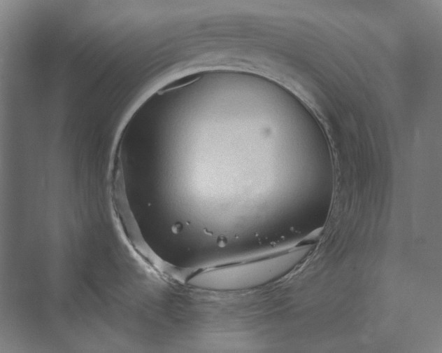 X0000069811536200606021452