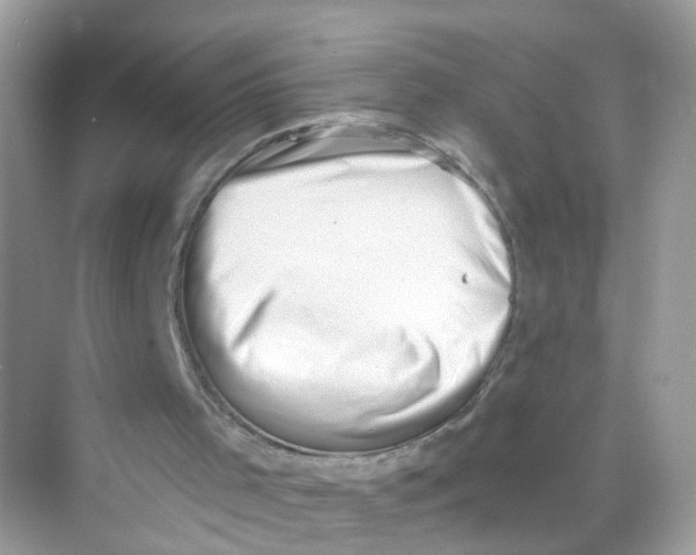 X0000069810001200606091847