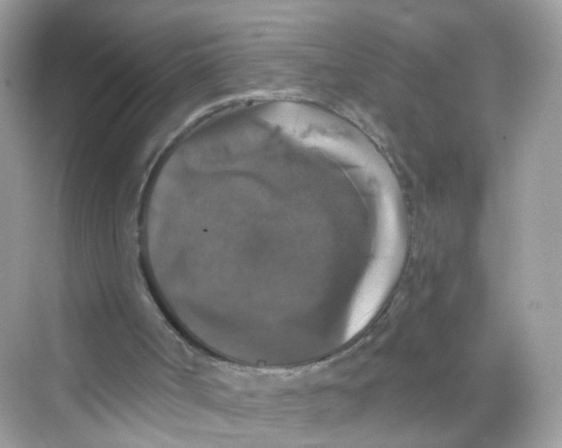 X0000069810002200606091847