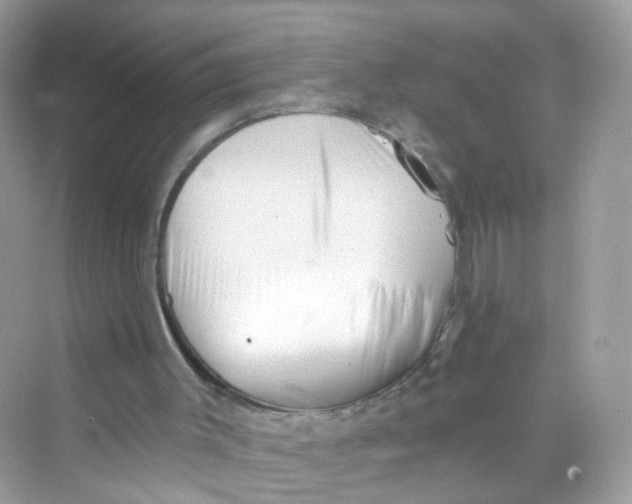 X0000069810003200606091847