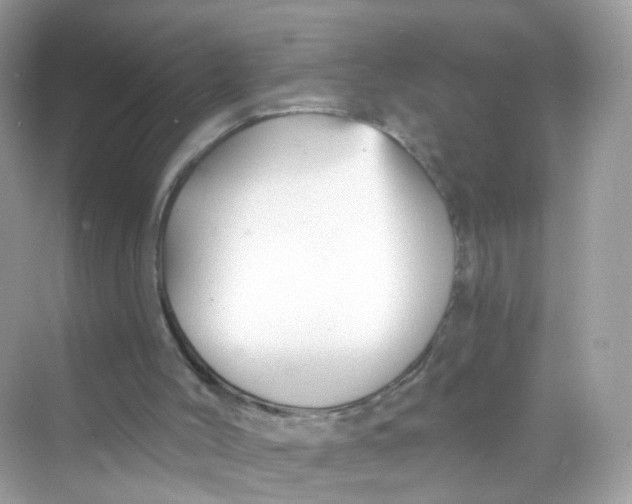 X0000069810004200606091847