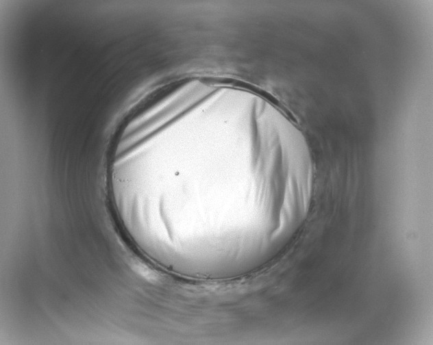 X0000069810005200606091847