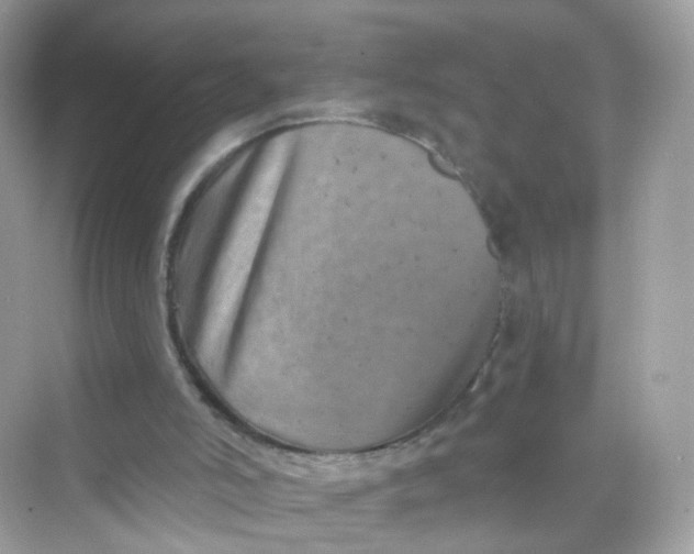 X0000069810006200606091847