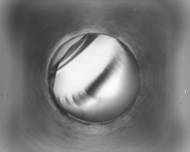 X0000069810008200606091847