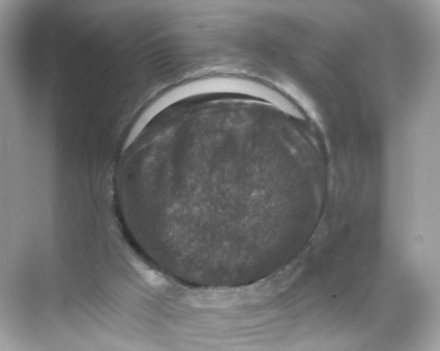 X0000069810009200606091847