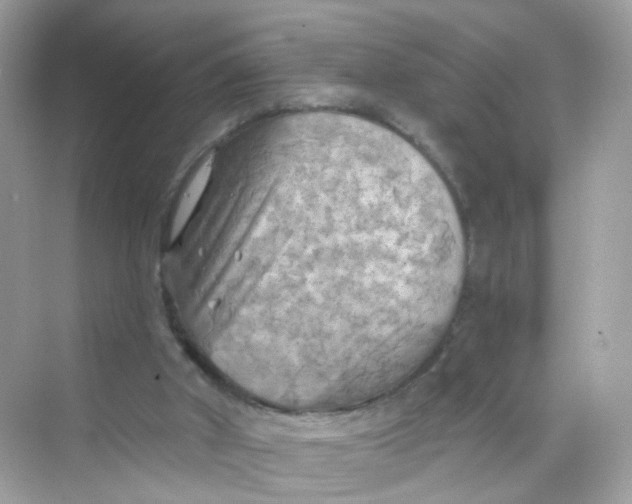 X0000069810010200606091847