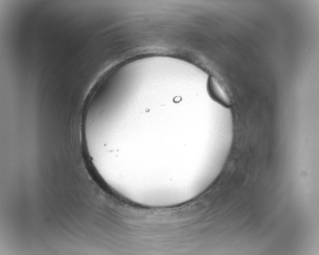 X0000069810011200606091847