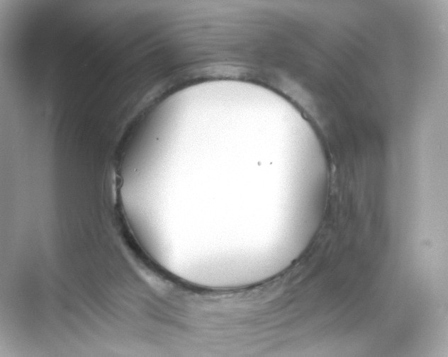 X0000069810013200606091847