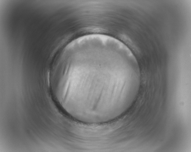 X0000069810014200606091847