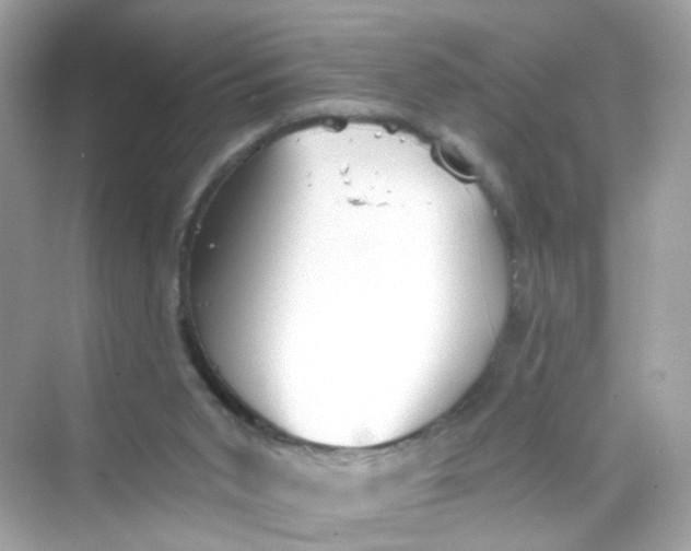 X0000069810015200606091847