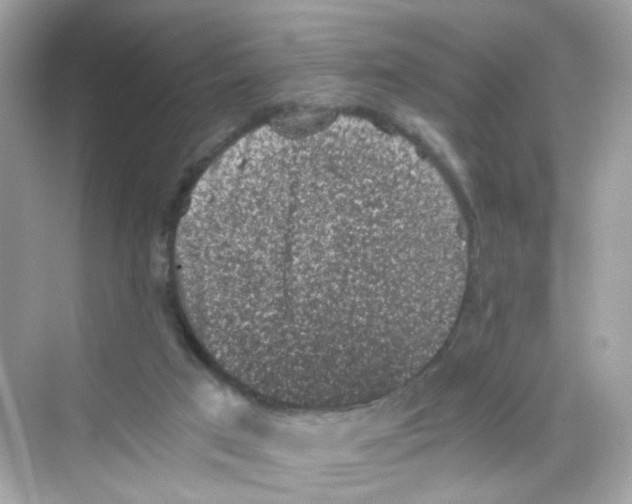 X0000069810017200606091847