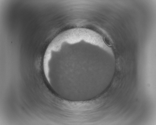 X0000069810018200606091846