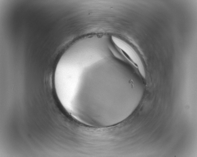 X0000069810019200606091846