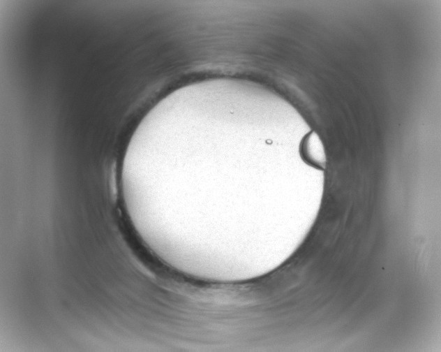 X0000069810020200606091846