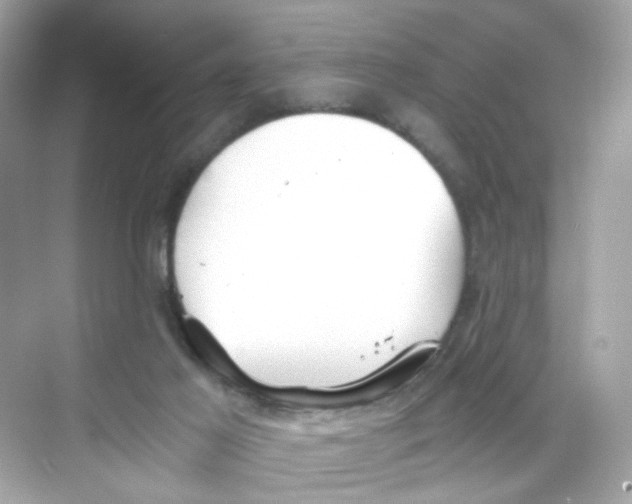 X0000069810021200606091846