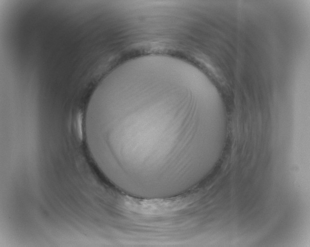 X0000069810022200606091846