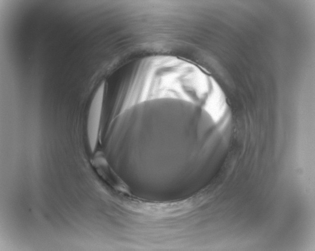 X0000069810023200606091846