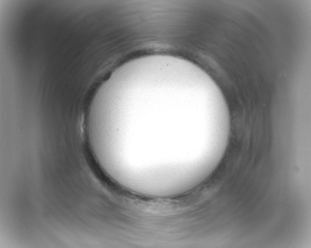 X0000069810024200606091846