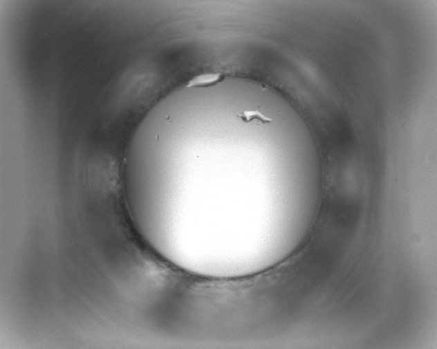 X0000069810025200606091846