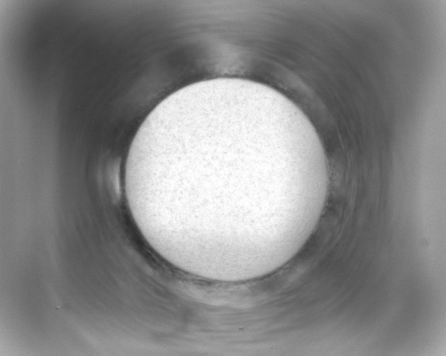 X0000069810028200606091846