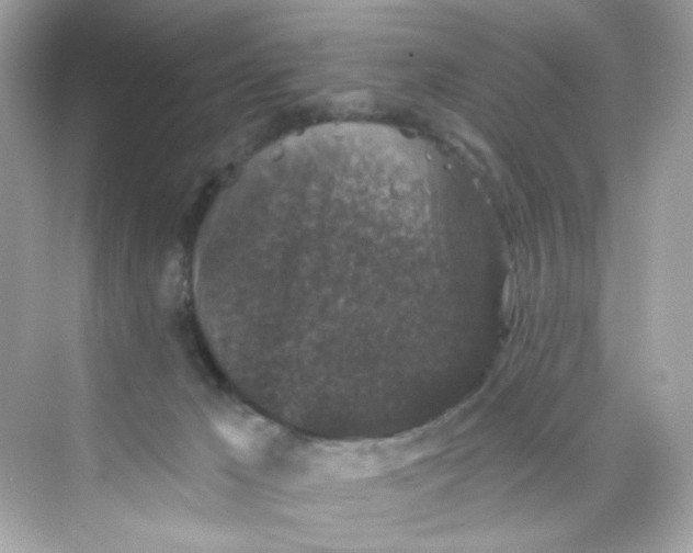 X0000069810029200606091846