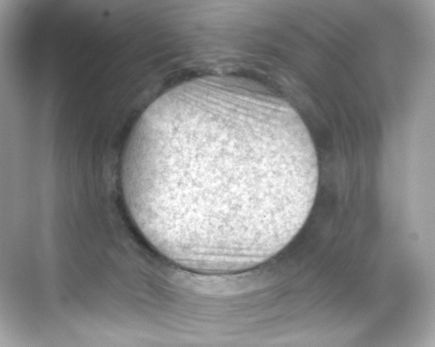 X0000069810030200606091846